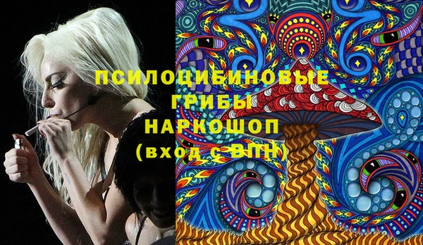 mdpv Ельня