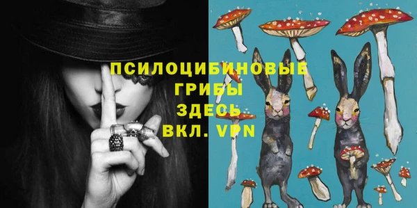 дживик Дмитровск