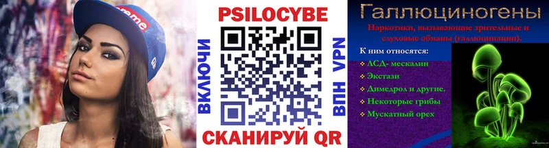 мориарти телеграм  Полярные Зори  Псилоцибиновые грибы Magic Shrooms 